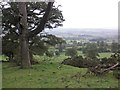 View over Tilbury Park