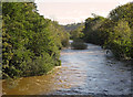 River Teifi between Adpar and Newcastle Emlyn