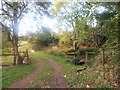 Pond beside a farm track