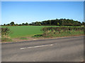 Fields north of Salhouse Road, Panxworth