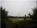 Farmland and pylons near Lowdham (2)