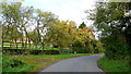 Autumn foliage by Chevington Lane