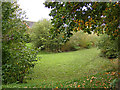 Natural/Nature area off the footpath