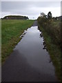 Standing water on National Cycle Route 1