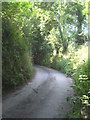 A bend in the lane near Trethake Farm