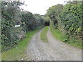 The lane to Little Tregellast