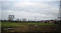 Doxey Marshes