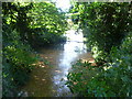 TQ2163 : Stream leading to the lake in Ewell Court Park by Marathon