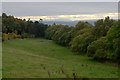 Field at Millhole, near Newtyle