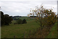 Fields at Clushmill, near Lundie