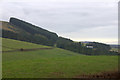 View to West Mains from near Pitermo, Lundie