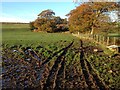 Farmland near Cleucheads