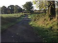 Minor road past Panlands Farm