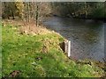 SS7992 : River gauge near a water monitoring station, Cwmavon by Jaggery