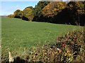 Farmland at Garrel Hill