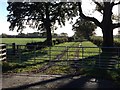 Gated farm track at Dalfibble