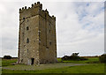 T0005 : Castles of Leinster: Ballyhealy, Wexford (1) by Mike Searle