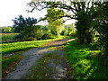 Crossing tracks in West Chiltington