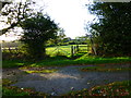 Footpath crosses farm track in West Chiltington