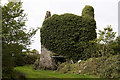T1110 : Castles of Leinster: Ballyconor, Wexford (2) by Mike Searle