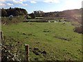 Farmland at Corsegreen