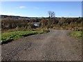 Track to Hightae Mill Loch