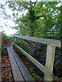 Path by stream looking towards the recreation ground