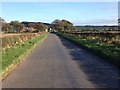 Minor road near Hoddomcross