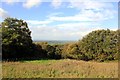 SJ5256 : View towards the Cheshire Plain by Jeff Buck