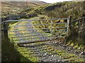 Locked gate at Fingland