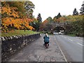 Entering Pitlochry on Perth Road