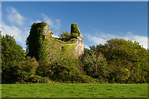 R8703 : Castles of Munster: Castle Cooke, Cork (1) by Mike Searle