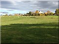 Fields and houses at Easter Kinkell