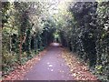 Path to Eastfield Park