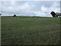 Farmland near Anniston Smithy