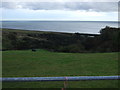 Coastal grazing, Braehead of Lunan