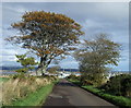 Dropping down into Ferryden