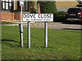 TM3863 : Dove Close sign by Geographer