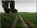 Track leading towards Richborough Castle