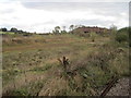 Disused Mine Buildings near Dragonby