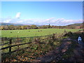 Grazing land at Glenreasdell