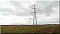 TR0563 : Electricity pylons, Graveney Marshes near Faversham by Malc McDonald