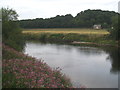 SO5618 : The River Wye downstream from Huntsham Bridge by Rod Allday
