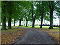 Bend in the road, Coldbrook, Abergavenny