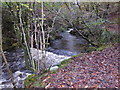 Part of the Taf Fechan gorge north of Cefn-coed-y-cymmer