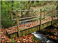 Footbridge over Lead Brook