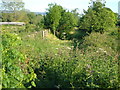 Former railway line, Ottery St Mary