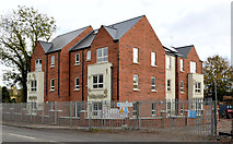 J2868 : New social housing, Dunmurry (3) by Albert Bridge