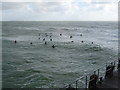 SZ0890 : Bournemouth: surfers await the next good wave by Chris Downer