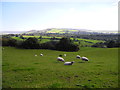 View southeast over Etherow Goyt Valley